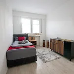 Serviceroom24 - 2 In Wlan - Smart-tv - 24-7 Check-in Und Kueche * Gladbeck